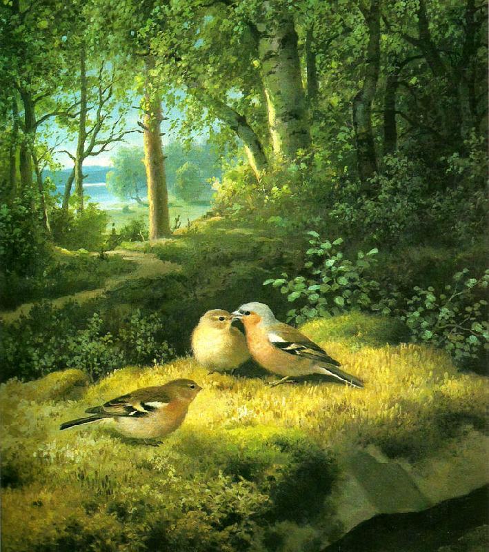broderna von wrights bofinkar i glanta china oil painting image